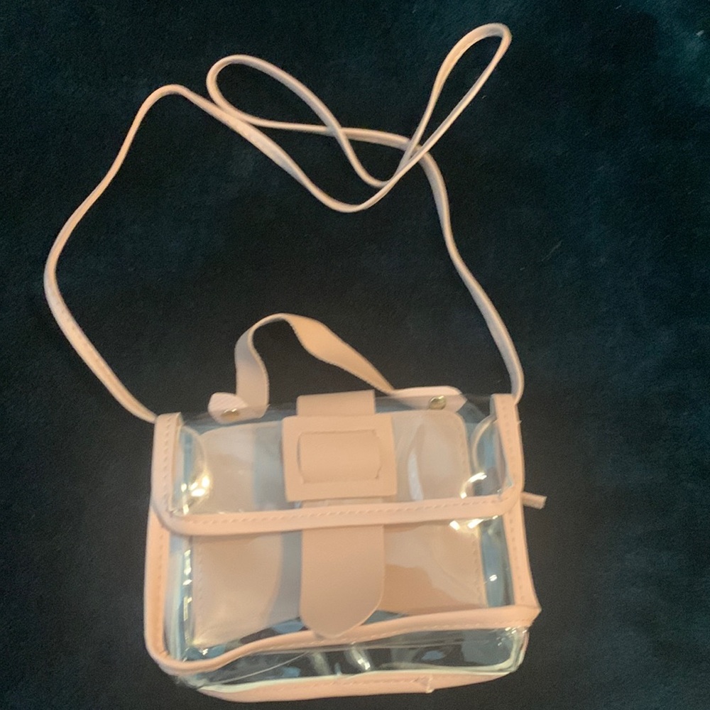 Clear purse with pink lining